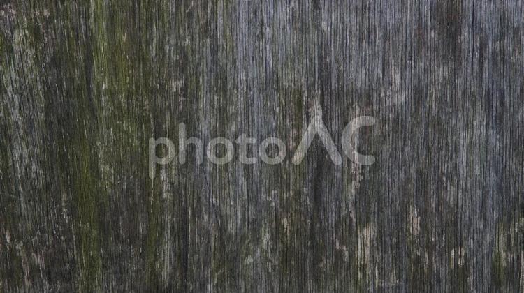 朽ちた木材　０３ 木材,木目,廃材の写真素材
