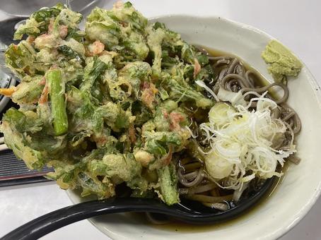 小海老入り春菊天そば 薬味ねぎ お蕎麦 小海老入り春菊天そば 薬味ねぎ お蕎麦 そば,お蕎麦,春菊天そばの写真素材