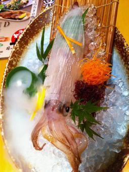 イカの活き造り 活いか いかの刺身 イカの活き造り 活いか いかの刺身 イカ,烏賊,イカの活き造りの写真素材