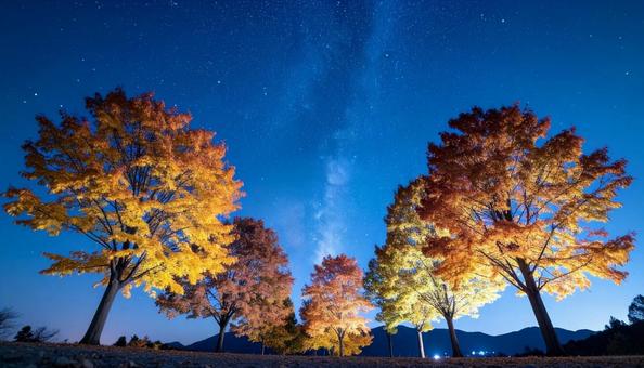 秋の木々と澄んだ星空の写真