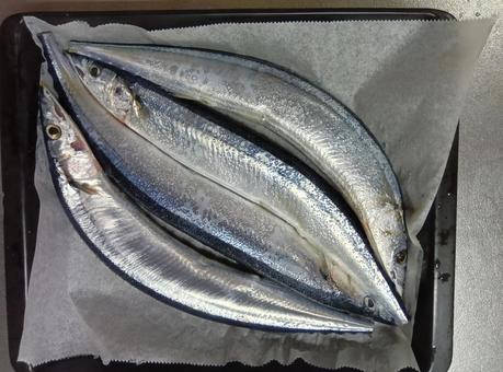 塩焼きにするさんま 塩焼きにするさんま さんま,サンマ,秋刀魚の写真素材