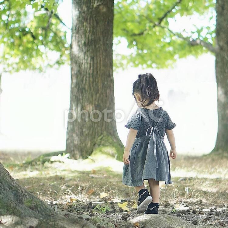森の中の女の子 自然,女の子,女子の写真素材