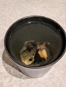 ヒレ酒 ヒレ酒,フグのヒレ,日本酒の写真素材