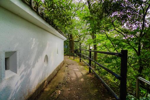 【岐阜】岐阜城の周辺 2025 岐阜城,城,岐阜の写真素材