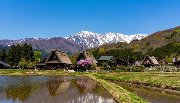 かやぶき屋根の家が残る風景 かやぶき屋根の家が残る風景の写真