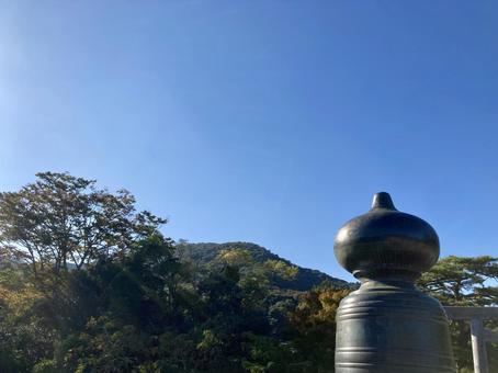 擬宝珠 擬宝珠の写真
