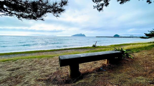 さつき松原の松林遊歩道 さつき松原の松林遊歩道 さつき松原,宗像市,遊歩道の写真素材