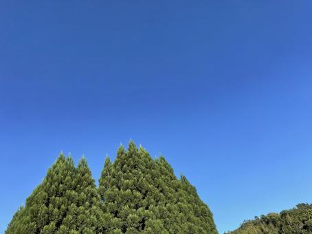 空365日 空365日の写真