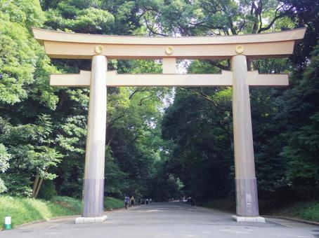 【東京都】明治神宮 【東京都】明治神宮 明治神宮,渋谷区,原宿の写真素材