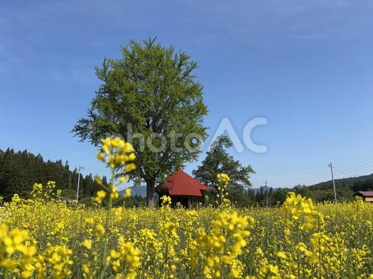 原風景　会津金山町にある太郎布下村地蔵堂 原風景,会津金山町,太郎布下村地蔵堂の写真素材