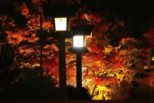 Autumn leaves 4, JPG