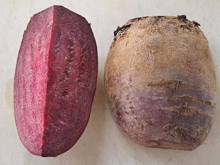 ビーツ 自然,ビーツ,ボルシチの写真素材