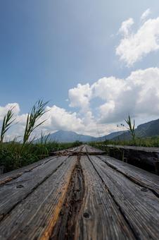 夏の尾瀬(木道) 夏の尾瀬(木道) 尾瀬,夏,風景の写真素材