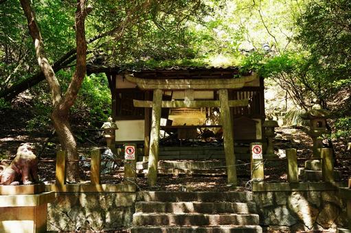 広島 大久野島 大久野島神社 広島 大久野島 大久野島神社 うさぎ島,大久野島,毒ガスの島の写真素材