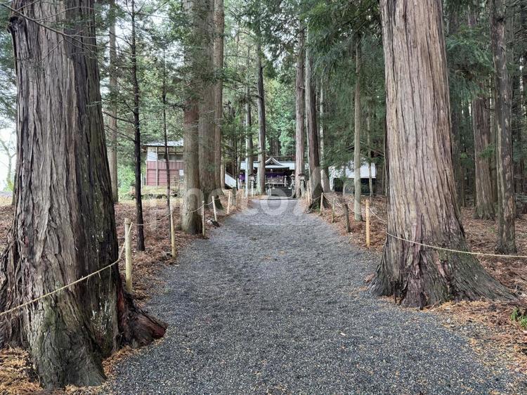 長野県塩尻市　三嶽神社 三嶽神社,信州,塩尻市の写真素材
