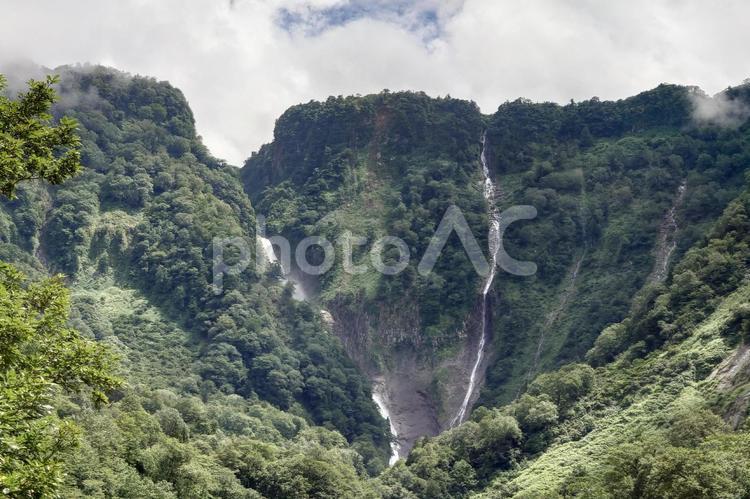 富山県-称名滝とハンノキ滝と無名滝 称名滝,国指定名勝,天然記念物の写真素材