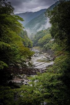 四国　徳島　祖谷のかずら橋 祖谷のかずら橋,四国,四国地方の写真素材