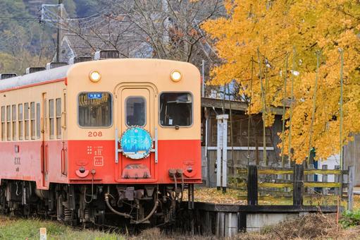 小湊鐵道 小湊鐵道,秋,紅葉の写真素材