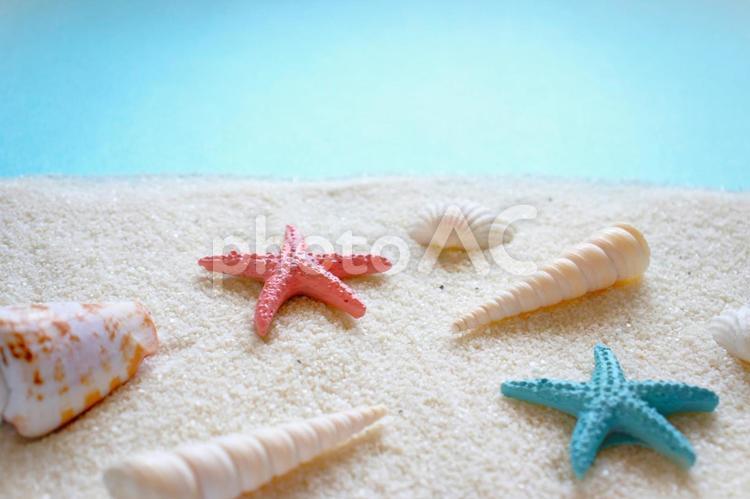 夏　ビーチのイメージ 貝殻,貝がら,夏の写真素材