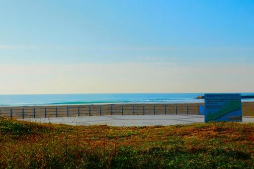 田原の砂浜 田原の砂浜の写真