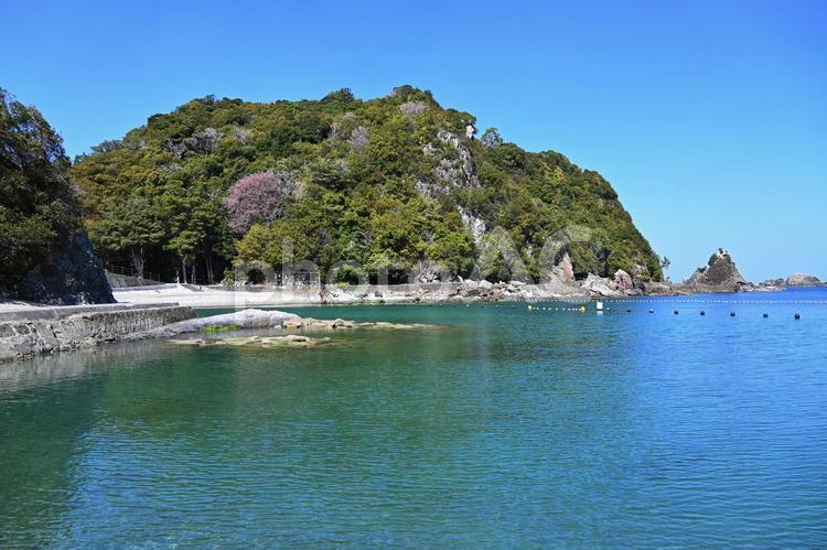 くじら浜海水浴場　くじらに出会える海水 くじら浜海水浴場,和歌山県東牟婁郡太地町,くじらに出会える海水浴場の写真素材