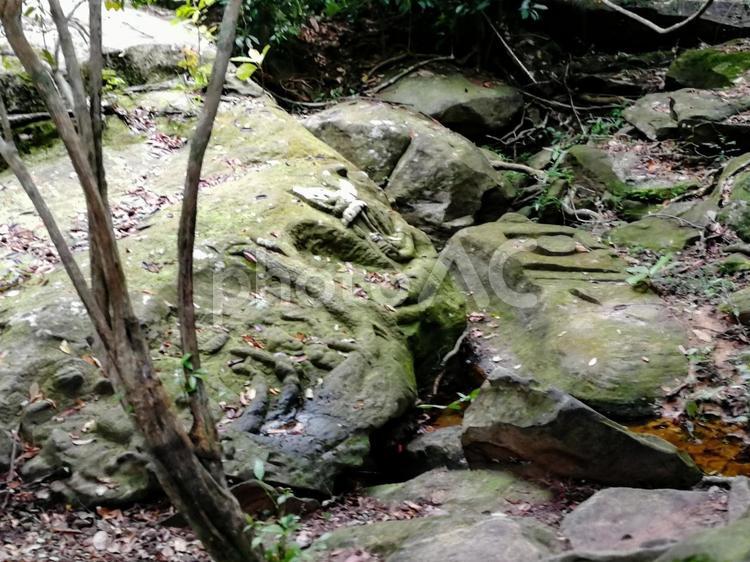 アンコール　水中遺跡　クバールスピアン アンコール遺跡群,アンコールワット,クバールスピアンの写真素材