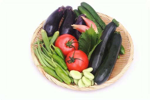 夏野菜 夏野菜 夏野菜,野菜,食材の写真素材