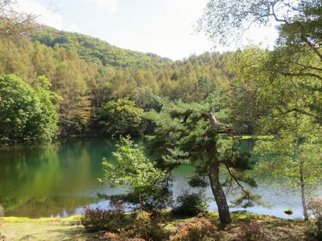 長野県茅野市奥蓼科の観光地の御射鹿池 長野県茅野市奥蓼科の観光地の御射鹿池 御射鹿池,長野県,茅野市の写真素材