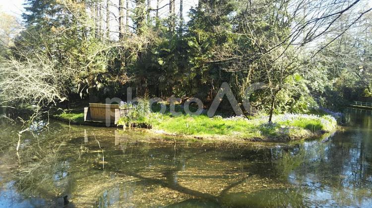公園散策池風景 3月,散策,芽吹きの写真素材