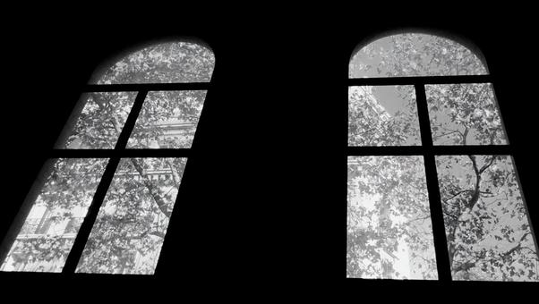 窓 木,枝,自然の写真素材