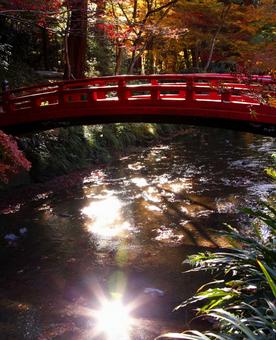 橋を中心に秋が跳躍 光線,名所,太陽光の写真素材