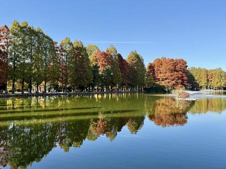 湖 秋,風景,湖の写真素材
