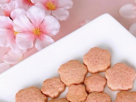 桜のクッキー クッキー,桜のクッキー,型抜きクッキーの写真素材