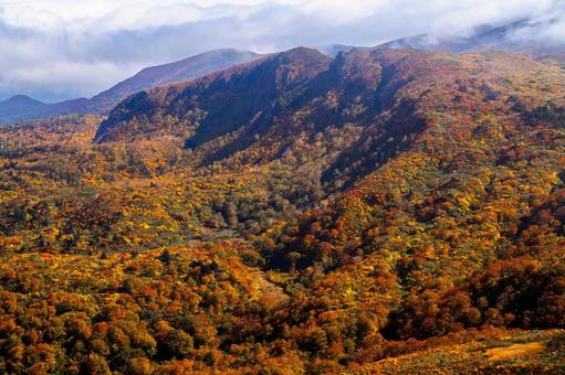 栗駒山 紅葉の広大な山並み 栗駒山 紅葉の広大な山並みの写真