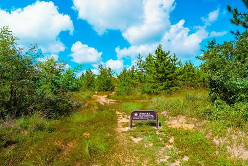 【鳥取】鳥取砂丘の入り口 砂丘,鳥取,鳥取砂丘の写真素材