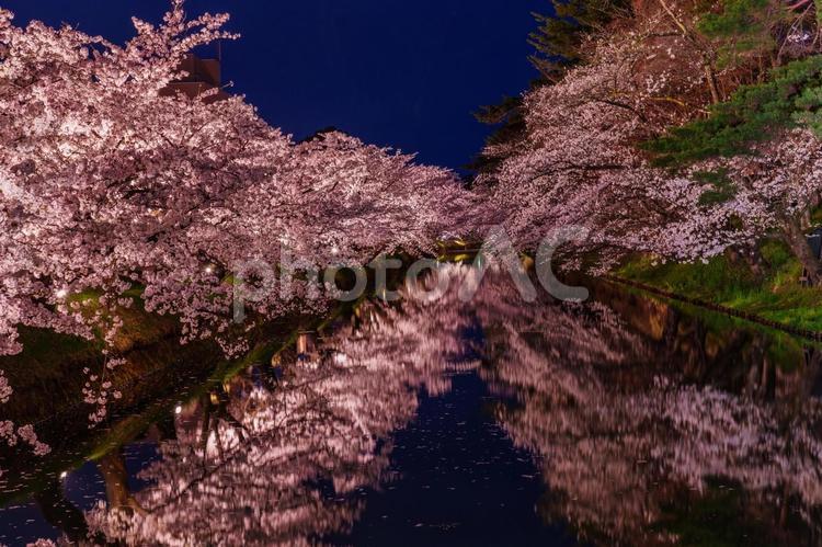 満開の夜桜と弘前城 弘前,青森,桜の写真素材