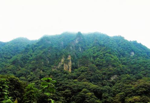 木々と山 木々と山の写真