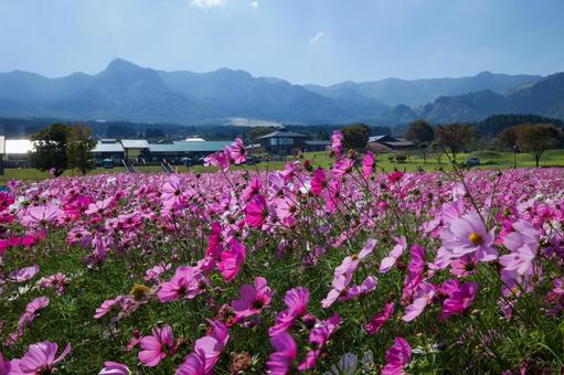 阿蘇望の郷くぎの ① 阿蘇望の郷くぎの ①の写真