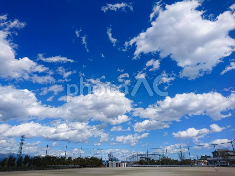 済んだ青空とグラウンド 野球場,グラウンド,野球の写真素材