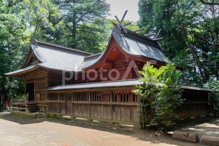 埼玉　氷川女体神社　本殿 氷川女体神社,氷川女體神社,氷川の写真素材