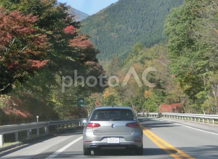 行楽日和-1 ドライブ,行楽,車の写真素材