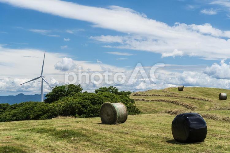 夏の空と風車と牧草地の風景４ 夏,空,風車の写真素材