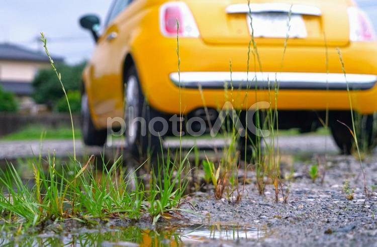 梅雨の草越しのイタ車 車,梅雨,外車の写真素材