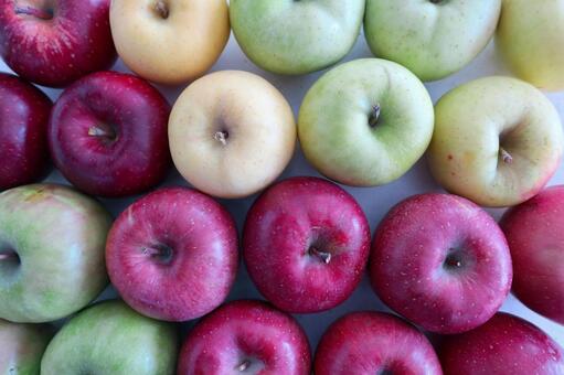 りんごの種類 林檎,果物,アップルの写真素材