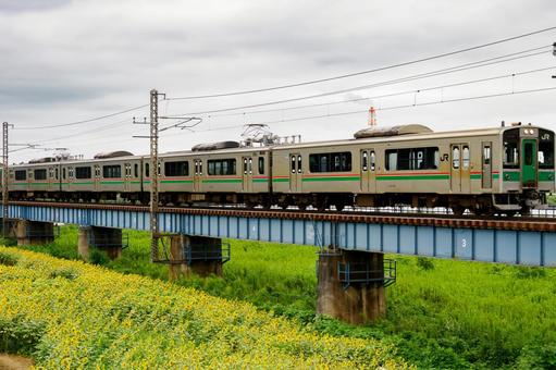 ヒマワリと電車⑾ ヒマワリと電車⑾の写真