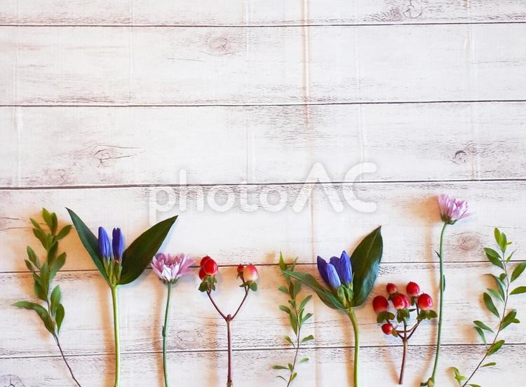 花の背景のメッセージボード フレーム,背景,花の写真素材