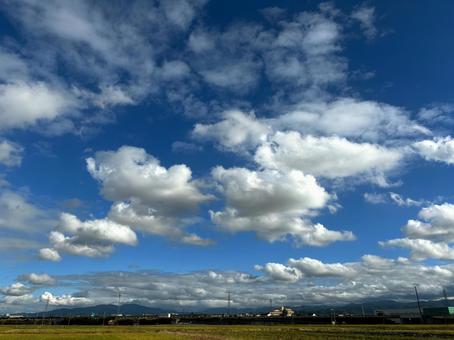 青空、空、雲、草 青空、空、雲、草の写真