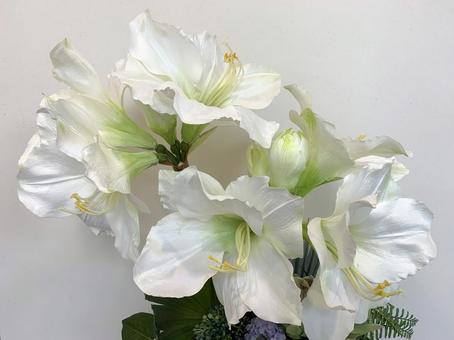 ユリ　花 ガーデニング,園芸,ユリの写真素材