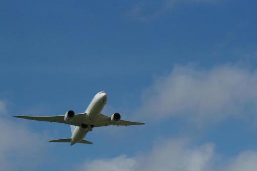 飛行機と青空 飛行機,青空,空の写真素材
