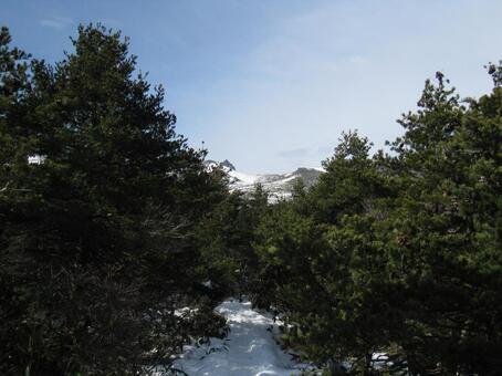 残雪の山 残雪の山の写真